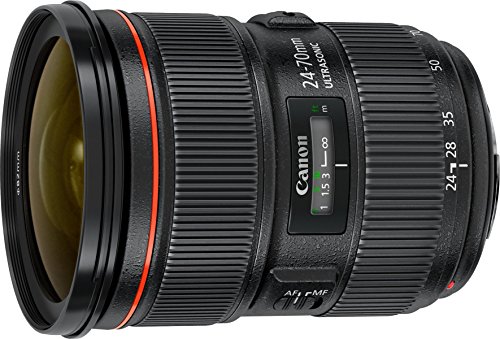 Canon Ef24-70mm F2.8l Ii Usm Lens 4960999780719| eBay
